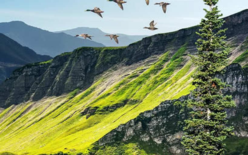 Himachal
