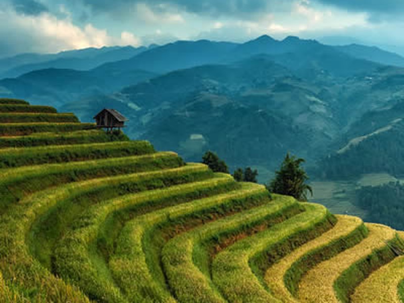 Himachal Pradesh green valley