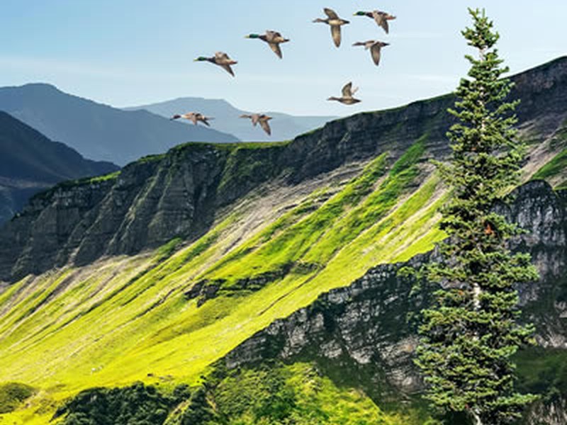 Shimla Manali Tour Package